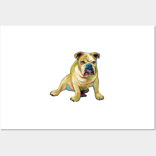 Big Boy the Bulldog by Robert Phelps Posters and Art